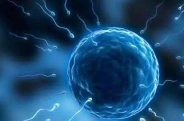 广州市第 一人民医院试管成功率高吗？