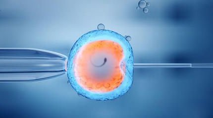 吉林省试管婴儿医院哪家好？试管婴儿成功率如何提高