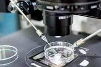 试管婴儿移植后感觉是怎样的？当身体出现异常时该怎么办？