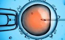 手术麻醉对卵子有影响吗？看完这篇恍然大悟