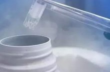 试管抽血怎么看卵泡成熟不成熟