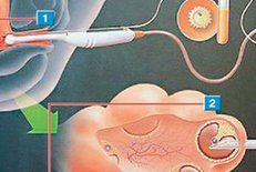 2026年在萍乡市妇幼保健院做三代试管婴儿指南！怀孕成功率多少供您参考