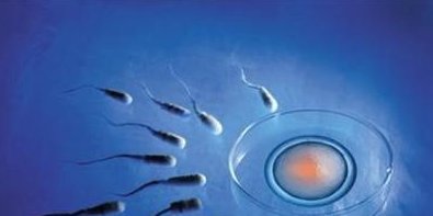 广州市三代试管婴儿医保报销比例是多少？广州市三代试管婴儿医疗保险报销政策