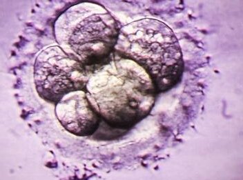 到底是自然周期好还是人工周期好？试管婴儿的两种方案解析